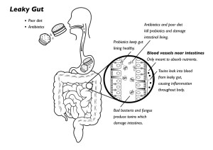 Leaky gut syndrome